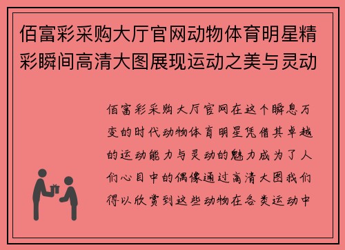 佰富彩采购大厅官网动物体育明星精彩瞬间高清大图展现运动之美与灵动魅力